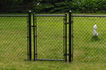 Chain Link Fencing 